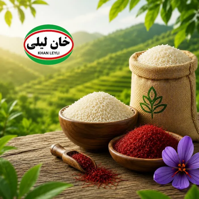 خان لیلی